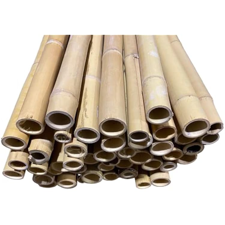 6 Feet Long Natural Thick Bamboo Poles - 1.5in - 2in Wide - Pack of 2 Beige